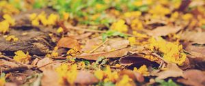 Preview wallpaper leaves, autumn, fallen, blur, yellow