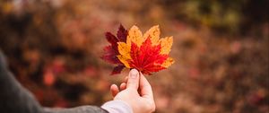 Preview wallpaper leaves, autumn, hand, veins, focus