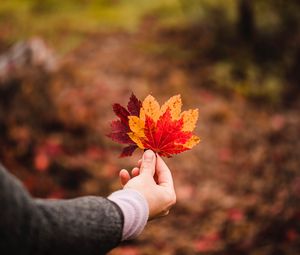 Preview wallpaper leaves, autumn, hand, veins, focus