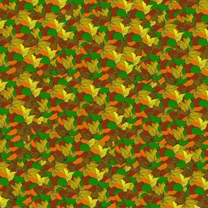 Preview wallpaper leaves, autumn, patterns, texture