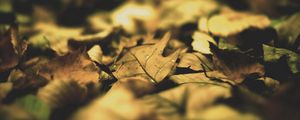 Preview wallpaper leaves, autumn, shadow