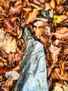 Preview wallpaper leaves, autumn, stone, forest, orange, nature
