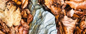Preview wallpaper leaves, autumn, stone, forest, orange, nature