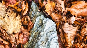 Preview wallpaper leaves, autumn, stone, forest, orange, nature