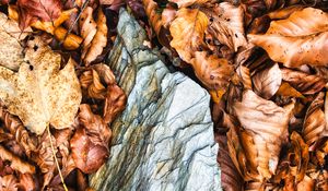 Preview wallpaper leaves, autumn, stone, forest, orange, nature