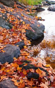 Preview wallpaper leaves, autumn, stones, river, nature