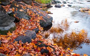 Preview wallpaper leaves, autumn, stones, river, nature