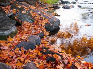 Preview wallpaper leaves, autumn, stones, river, nature