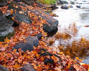 Preview wallpaper leaves, autumn, stones, river, nature