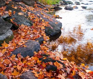 Preview wallpaper leaves, autumn, stones, river, nature