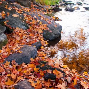 Preview wallpaper leaves, autumn, stones, river, nature