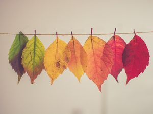 Preview wallpaper leaves, autumn, thread