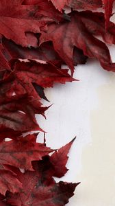 Preview wallpaper leaves, autumn, wall, macro, red, white