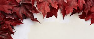 Preview wallpaper leaves, autumn, wall, macro, red, white