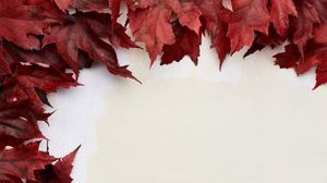 Preview wallpaper leaves, autumn, wall, macro, red, white