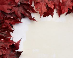 Preview wallpaper leaves, autumn, wall, macro, red, white