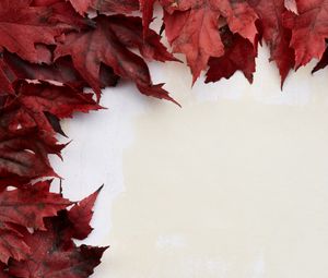 Preview wallpaper leaves, autumn, wall, macro, red, white