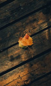 Preview wallpaper leaves, autumn, wooden, boards