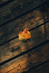 Preview wallpaper leaves, autumn, wooden, boards