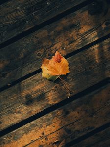 Preview wallpaper leaves, autumn, wooden, boards