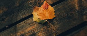 Preview wallpaper leaves, autumn, wooden, boards