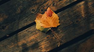 Preview wallpaper leaves, autumn, wooden, boards