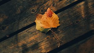 Preview wallpaper leaves, autumn, wooden, boards