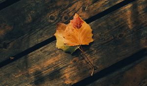 Preview wallpaper leaves, autumn, wooden, boards