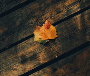 Preview wallpaper leaves, autumn, wooden, boards