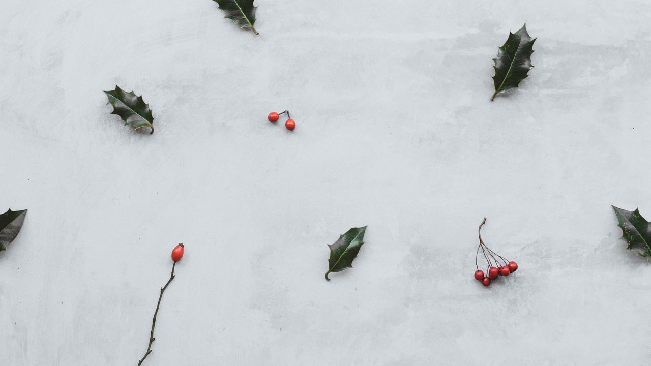 Wallpaper leaves, berries, red, clusters