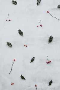 Preview wallpaper leaves, berries, red, clusters