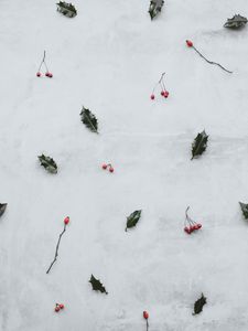 Preview wallpaper leaves, berries, red, clusters