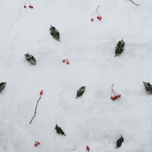 Preview wallpaper leaves, berries, red, clusters