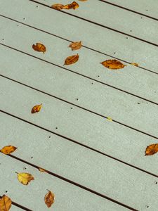 Preview wallpaper leaves, boards, wood, autumn