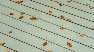 Preview wallpaper leaves, boards, wood, autumn