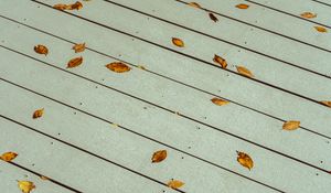 Preview wallpaper leaves, boards, wood, autumn