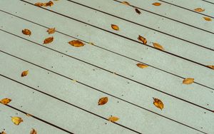 Preview wallpaper leaves, boards, wood, autumn