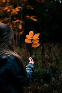 Preview wallpaper leaves, branch, hand, girl, focus