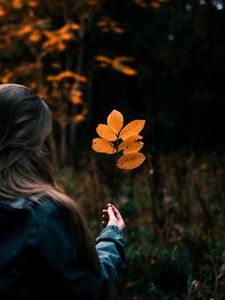 Preview wallpaper leaves, branch, hand, girl, focus