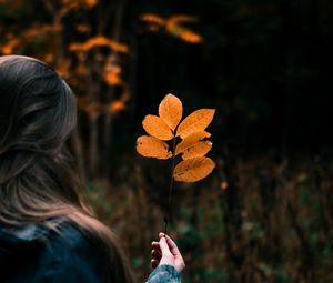 Preview wallpaper leaves, branch, hand, girl, focus