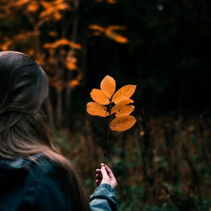 Preview wallpaper leaves, branch, hand, girl, focus