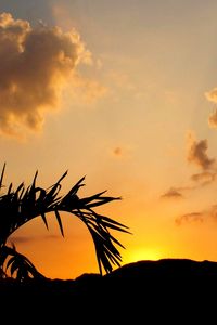 Preview wallpaper leaves, branch, palm tree, sunset, silhouette