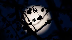 Preview wallpaper leaves, branches, silhouettes, moon, night, dark