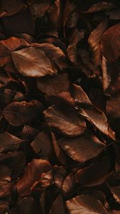 Premium Photo  Dark brown wooden cubes wallpapers for iphone and android