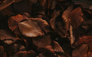 Brown Minimalist Wallpapers  Top Free Brown Minimalist Backgrounds   WallpaperAccess