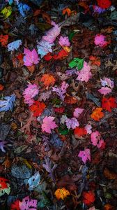 Preview wallpaper leaves, colorful, autumn
