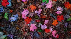 Preview wallpaper leaves, colorful, autumn
