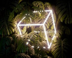 Preview wallpaper leaves, cube, neon, glow, plant
