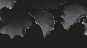 Preview wallpaper leaves, dark, branches, shadows