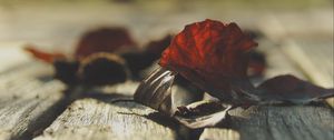 Preview wallpaper leaves, dry, autumn, wood, boards, macro